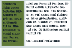 PN Amazonian Product Image 7