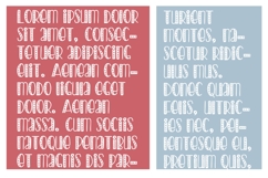 Americana Preserves Font Family Product Image 5