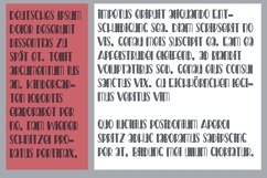 Americana Preserves Font Family Product Image 8