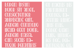 Americana Slab Font Family Product Image 3