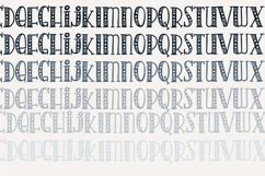 Americana Preserves Font Family Product Image 9
