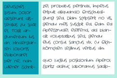 Beachgoer Font Family Product Image 7