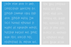 Beanarilla Font Family Product Image 7