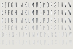 Beanpole Product Image 6