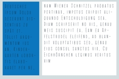 Beanpole Product Image 2