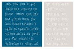 Beanzilla Product Image 5