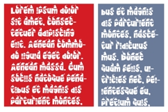 Big Belly Font Trio Product Image 5