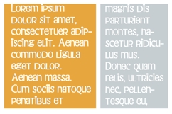 Blank Slate Font Family Product Image 3