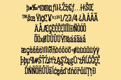 Bologna Font Family Product Image 6