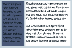 Breazer Bloom Font Family Product Image 8