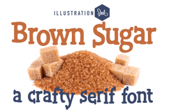 Ser-tainly Serif Font Bundle Product Image 9