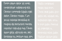 Buche De Noel Font Family Product Image 2