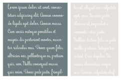Bunchberry Font Family Product Image 5