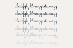 Bunchberry Font Family Product Image 6