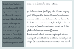 Bunchberry Font Family Product Image 2