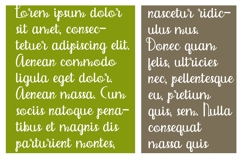 Butterfish Product Image 5