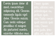 Candied Yams Font Family Product Image 6
