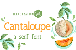 Ser-tainly Serif Font Bundle Product Image 12