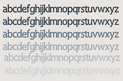 PN Cantaloupe Product Image 4