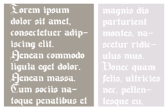 Canton Bloom Font Family Product Image 5