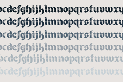 Canton Bloom Font Family Product Image 6