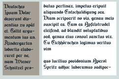 Canton Bloom Font Family Product Image 2