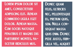 Changeling Caps Font Family Product Image 5