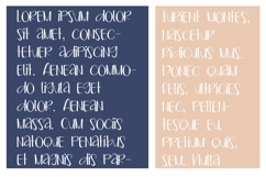Chickpea Product Image 5