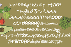 Cilantro Leaf Font Family Product Image 5