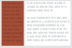 Cinnamon Sugar Font Family Product Image 5