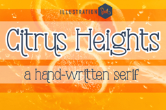 Civil Serifs Font Bundle Product Image 8