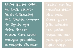 Collectable Font Family Product Image 3