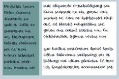 Collectable Font Family Product Image 6