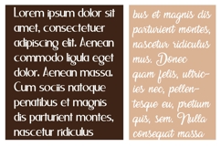 Croissant and Chandlering Font Duo Product Image 5