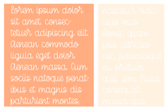 Dollie Script Font Family Product Image 5