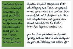 Doolittle Font Family Product Image 2