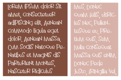 Double Fudgiscle Product Image 5