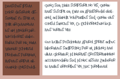 Double Fudgiscle Product Image 2