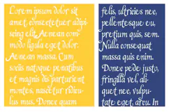 Drac’s Wife Halloween Font Family Product Image 3