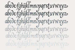 Drac’s Wife Halloween Font Family Product Image 4