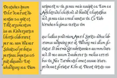 Drac’s Wife Halloween Font Family Product Image 6