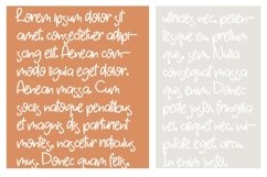 PN Egghead Product Image 5