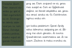 Expectations Font Family Product Image 8