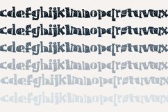 ZP Fixation Product Image 8