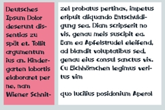 Fitzhugh Font Family Product Image 7