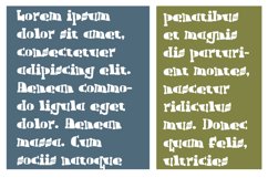 ZP Fixation Product Image 4