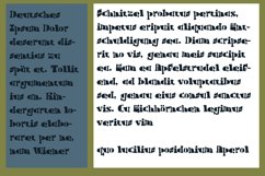 ZP Fixation Product Image 7