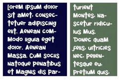 Frankenfont Font Family Product Image 4