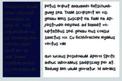 Frankenfont Font Family Product Image 7