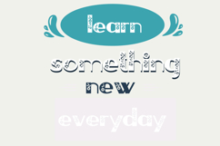 French Florals Font Family Product Image 8